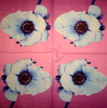 098 Anemones, Poppy - 3-ply - CS